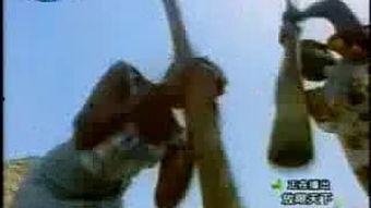 嫁到西非的德国女人,西非生活剪影