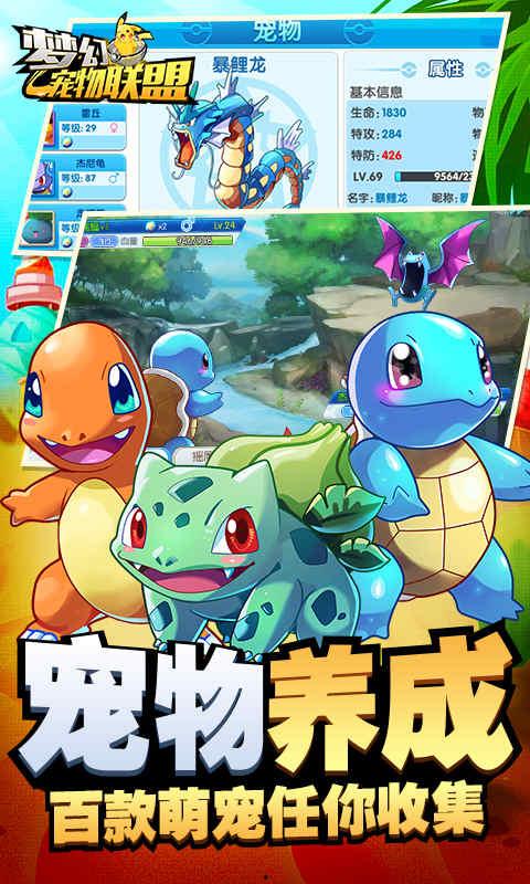 宠物联盟,守护萌宠，共创和谐家园