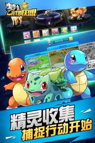 宠物联盟,守护萌宠，共创和谐家园