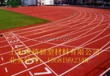 皇后区的跑道,城市绿洲中的运动天堂