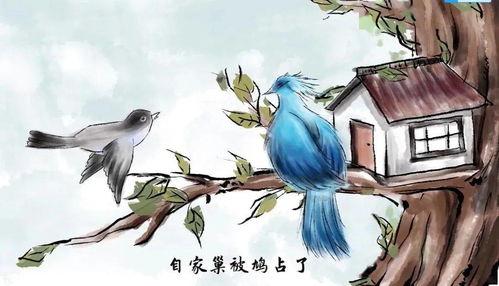 鸠占鹊巢，系统归我巢换主,一场奇妙的权属转换之旅