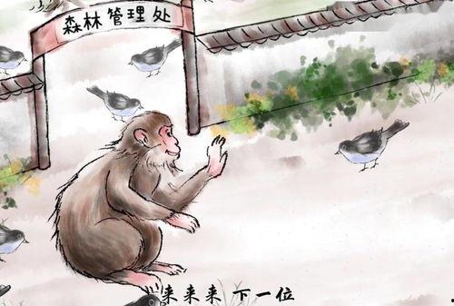 鸠占鹊巢，系统归我巢换主,一场奇妙的权属转换之旅