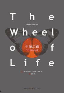 生命之轮,探寻个体成长与宇宙和谐的奥秘之旅