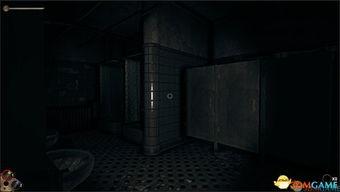 恐怖疯人院,恐怖疯人院背后的惊悚真相