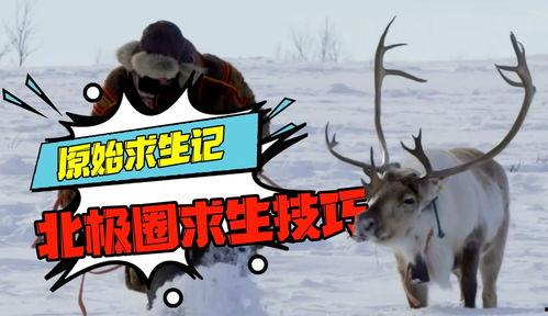 原始求生记 第三季,挑战极限，勇闯荒野