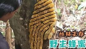 原始求生记 第三季,挑战极限，勇闯荒野