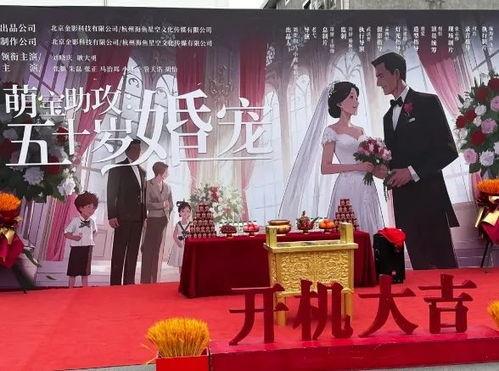 萌宝助攻：五十岁婚宠,萌宝助攻下的甜蜜爱情传奇