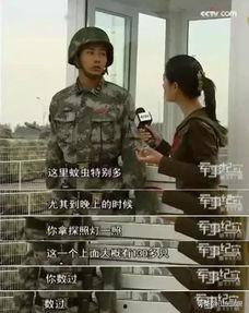 第十三个人,揭开神秘面纱的传奇故事