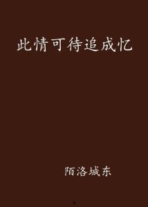 此情可待追成忆,时光流转中的美好回忆