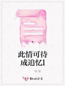 此情可待追成忆,时光流转中的美好回忆