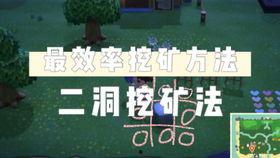 穿书求生指南：请勿对 NPC心动,NPC心动禁忌指南