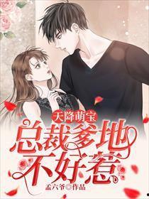 天降三宝，总裁爹地是大佬,总裁爹地，揭秘豪门大佬的温馨育儿记