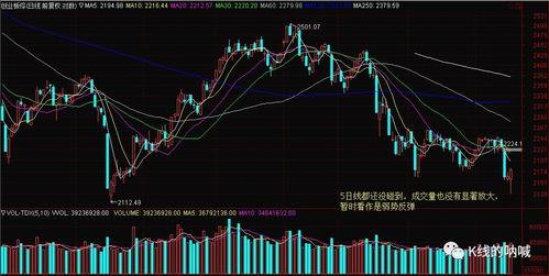 巨大的分歧,探索多元视角下的冲突与融合