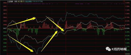 巨大的分歧,探索多元视角下的冲突与融合