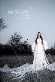 天使坠落人间,探寻爱与救赎的奇幻之旅