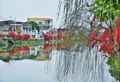 水乡的春天